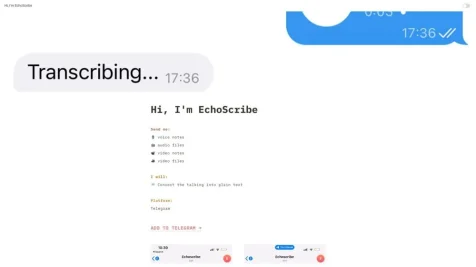 EchoScribe